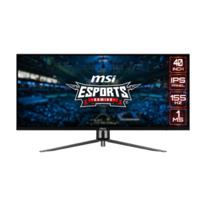 MSI - Monitor MAG401QR
